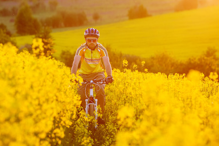 Mtb biker is cycling in yellow rapeseed fieldの写真素材