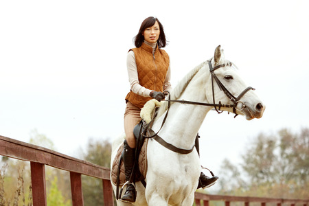 Woman jockey is riding the horse outdoor
の写真素材
