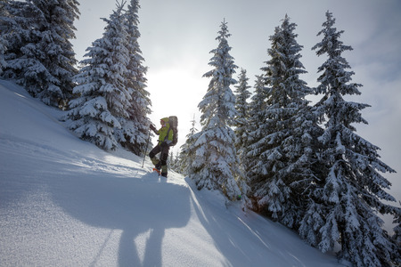 Hiker in winter mountainsの写真素材