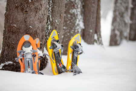 Snowshoes in winter forestの写真素材