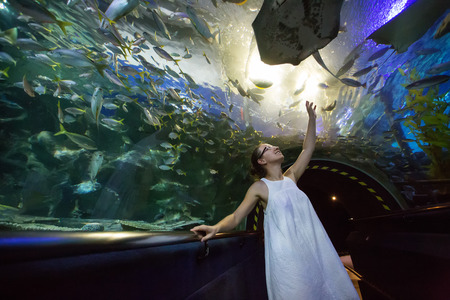 People observing fish at the aquarium