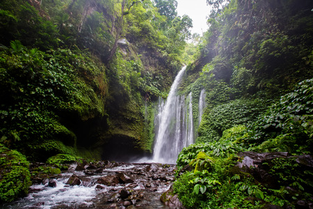 Air Terjun Tiu Kelep waterfall near Rinjani, Senaru, Lombok, Indonesia, Southeast Asiaの写真素材
