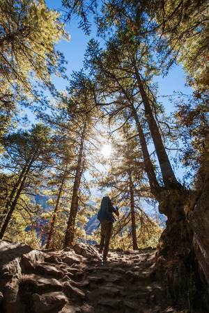 Hiking in Himalaya mountainsの写真素材
