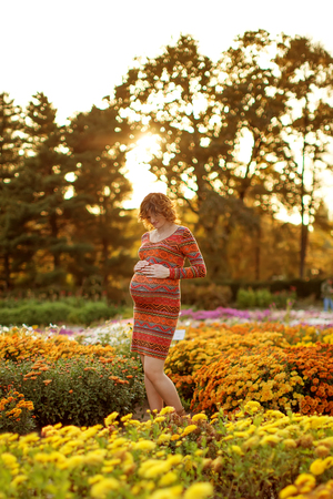 Pregnant female in autumnの写真素材