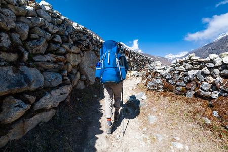 Trekker approaching Renjo La pass on a way to Everest Base campの写真素材