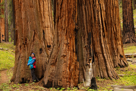 Mother with infant visit Sequoia national park in California, USAの写真素材