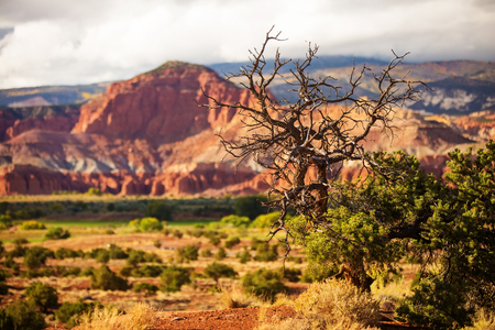 Spectacular landscapes of Capitol reef National park in Utah, USAの写真素材