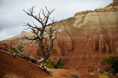 View to Kodachrome basin state park in Utah, USAの写真素材