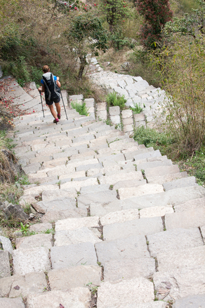 Trekker in the forest on the way to Annapurna base camp, Nepalの写真素材