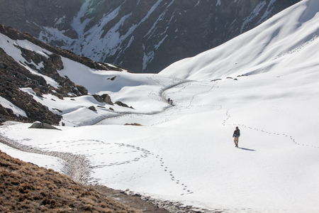 Trekker on the way to Annapurna base camp, Nepalの写真素材