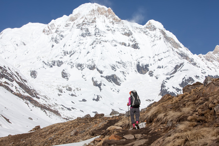 Trekker on the way to Annapurna base camp, Nepalの写真素材