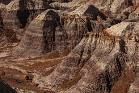 Petrified Forest National Park, Arizona USAの写真素材