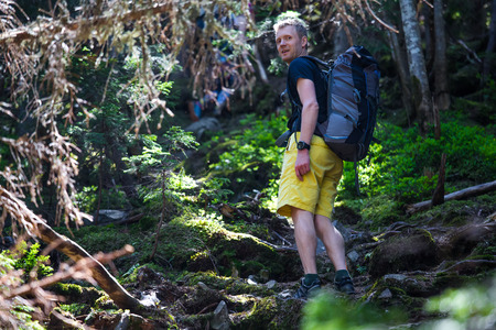 Hiker on a trail in a wood