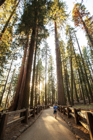 Mother with infant visit Sequoia national park in California, USAの写真素材