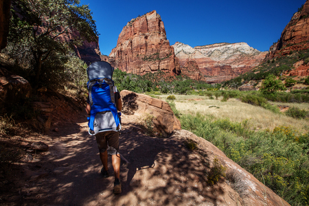A man with his baby boy are trekking in Zion national park, Utah, USAの写真素材
