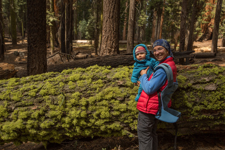 Mother with infant visit Sequoia national park in California, USAの写真素材