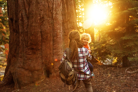 Family with boy visit Sequoia national park in California, USAの写真素材