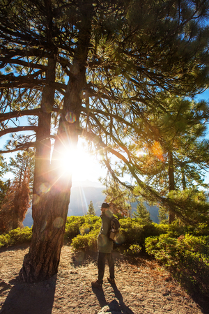 Hiker visit Yosemite national park in Californiaの写真素材