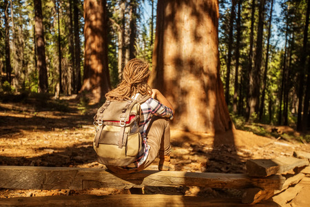 Woman in Yosimite national park near sequoia in California, USAの写真素材