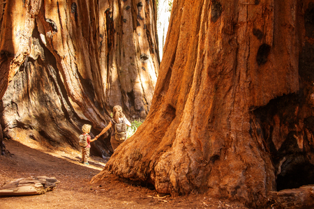 Family with boy visit Sequoia national park in California, USAの写真素材