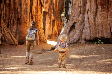 Family with boy visit Sequoia national park in California, USAの写真素材