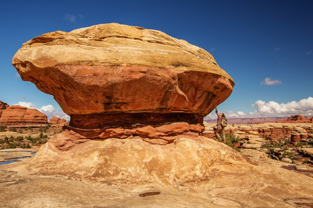 Hiker in Canyonlands National park, needles in the sky, in Utah, USAの写真素材