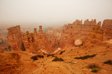 Landscape of Bryce canyon National Park, Utah, USAの写真素材