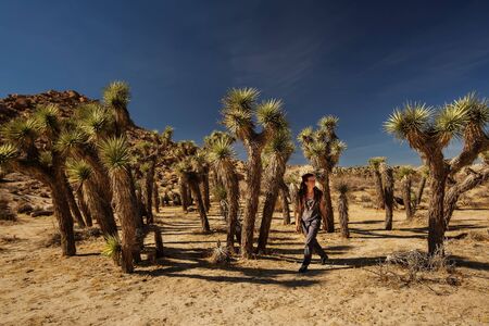 Hiker in joshua tree national parkの写真素材