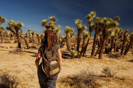 Hiker in joshua tree national parkの写真素材