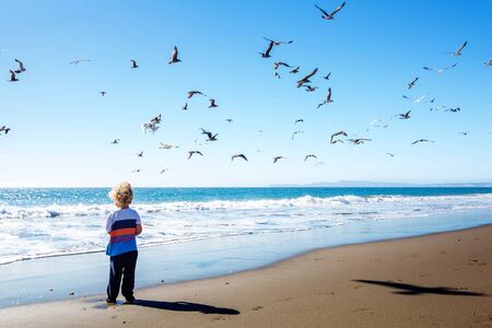 Happy and free boy on the beach with seagullsの写真素材