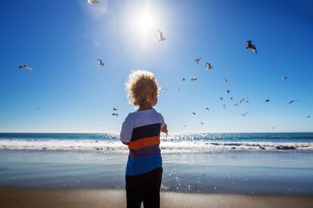 Happy and free boy on the beach with seagullsの写真素材