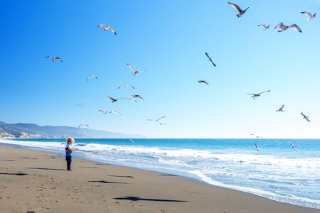 Happy and free boy on the beach with seagullsの写真素材
