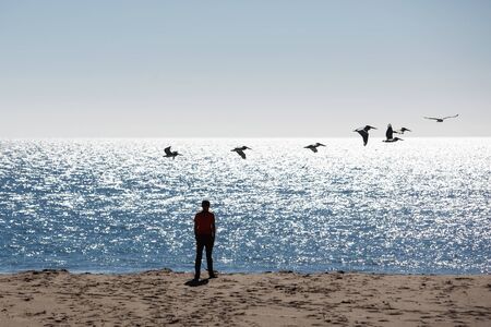 Happy and free boy on the beach with seagullsの写真素材