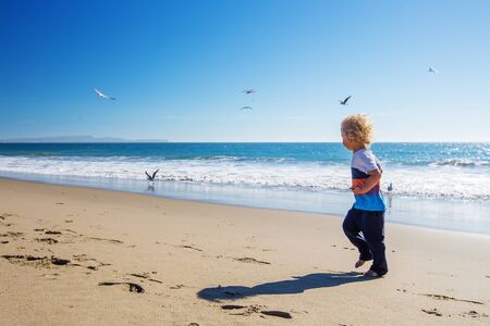 Happy and free boy on the beach with seagullsの写真素材