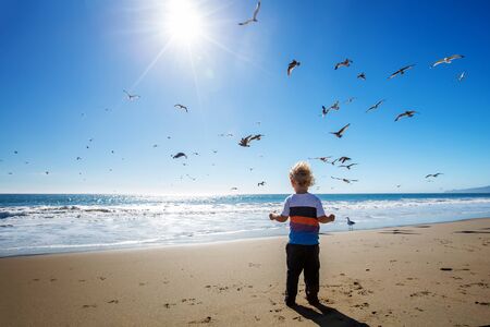 Happy and free boy on the beach with seagullsの写真素材