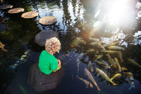 The boy feeds the carpの写真素材