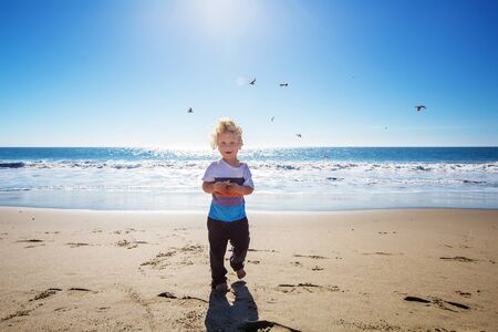 Happy and free boy on the beach with seagullsの写真素材