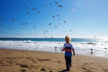 Happy and free boy on the beach with seagullsの写真素材