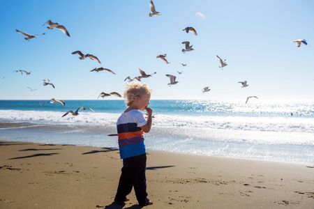 Happy and free boy on the beach with seagullsの写真素材