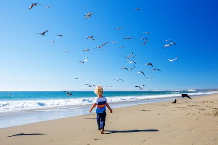 Happy and free boy on the beach with seagullsの写真素材