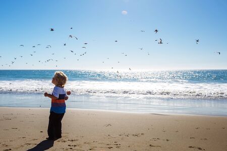 Happy and free boy on the beach with seagullsの写真素材