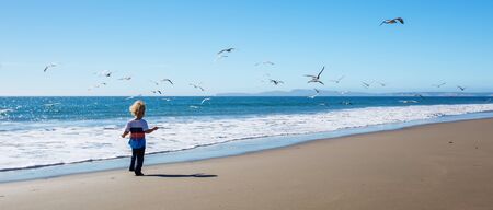 Happy and free boy on the beach with seagullsの写真素材