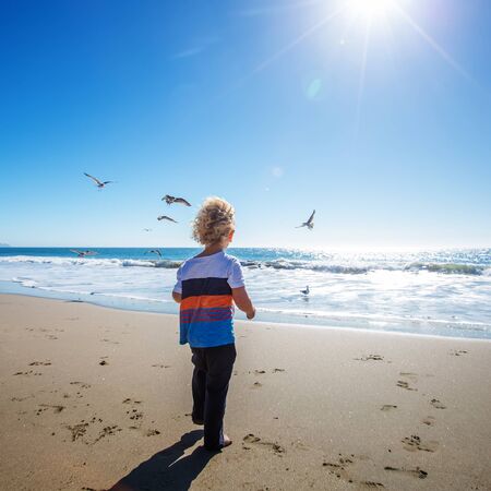 Happy and free boy on the beach with seagullsの写真素材