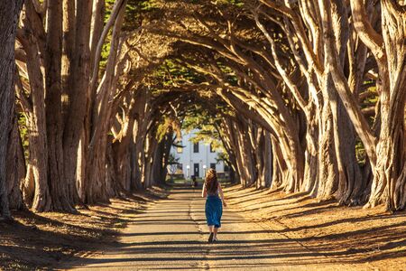 Happy girl in a tunnel with treesの写真素材