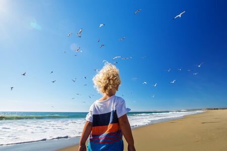 Happy and free boy on the beach with seagullsの写真素材