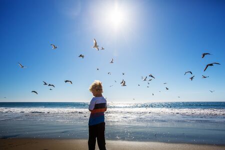 Happy and free boy on the beach with seagullsの写真素材