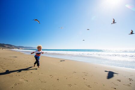 Happy and free boy on the beach with seagullsの写真素材