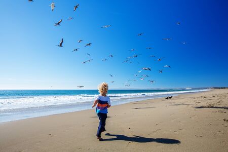 Happy and free boy on the beach with seagullsの写真素材