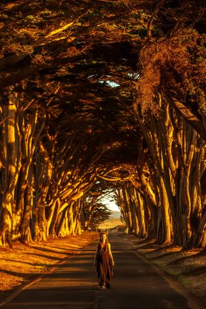 Happy girl in a tunnel with treesの写真素材