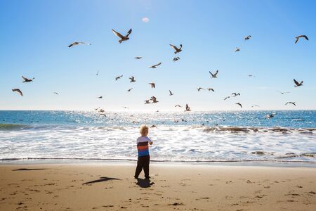 Happy and free boy on the beach with seagullsの写真素材